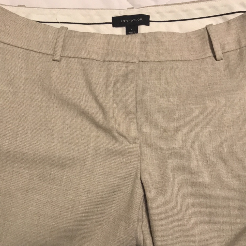 Ann Taylor Dress Pant
